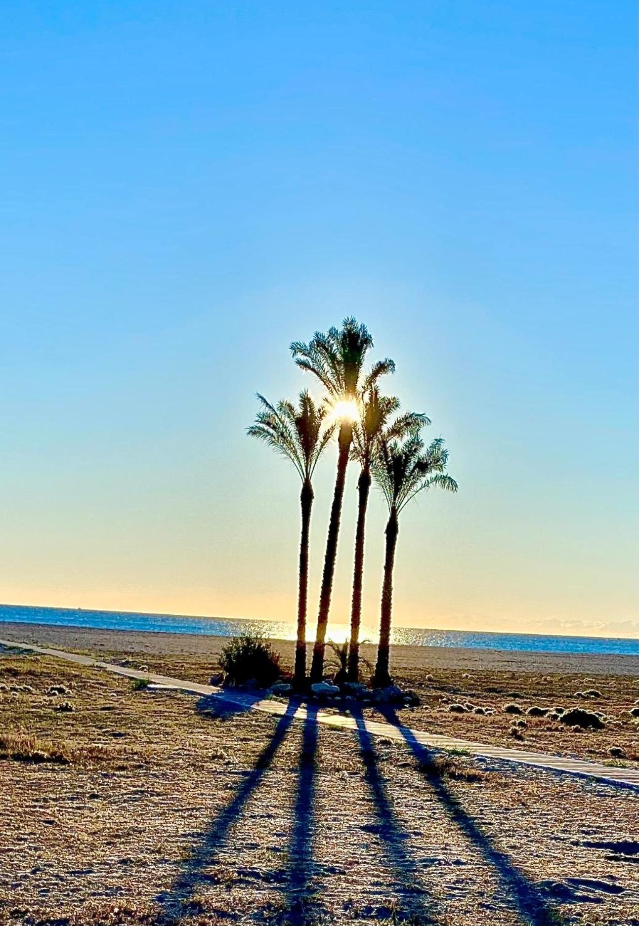Desa Laguna Playa Apartment